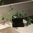 Vaso Quadrado Autoirrigável Para Plantar Hortaliças Liso Cor