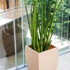 Vaso Quadrado Polietileno Apolo 54 Bege