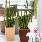 Vaso Quadrado Polietileno Apolo 54 Bege