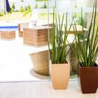 Vaso Quadrado Polietileno Apolo 54 Bege