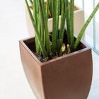 Vaso Quadrado Polietileno Apolo 54 Café