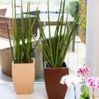 Vaso Quadrado Polietileno Apolo 54 Café