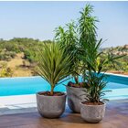 Vaso Redondo 240cm Japi Cimento Queimado