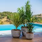 Vaso Redondo 315cm Japi Cimento Queimado