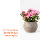 Vaso Redondo Búzios Pedra 13,5 Terrano