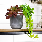 Vaso Redondo Decorativo Cinza 12 5x12 5 Cm F04 - D'rossi