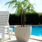 Vaso Redondo Elba Café 31 Terrano