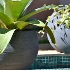 Vaso Redondo Esfera Linea 40cm Japi