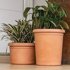 Vaso Redondo Firenze 56 Cimento Queimado