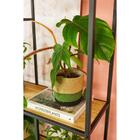 Vaso Redondo Megan Kiwi D19 A17 - Ts Brasil