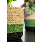 Vaso Redondo Megan Kiwi D27 A26 - Ts Brasil