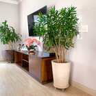 Vaso Redondo para Planta em Polietileno 43x36cm Bege