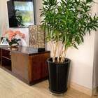 Vaso Redondo para Planta em Polietileno 43x36cm Preto