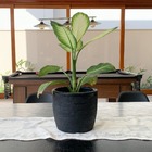 Vaso Redondo Para Plantas 20x23cm em Polietileno 7l Preto