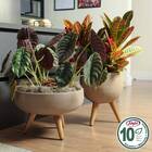 Vaso Redondo Polietileno Japi Cimento