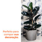 Vaso Reto Badi Pedra 28 Terrano