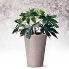 Vaso Riscatto Cônico 72 (96l) Cor Granito Nutriplan