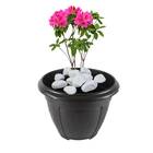 Vaso Romano Redondo Preto (2l) Nutriplan