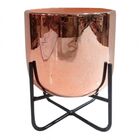 Vaso Rose Com Base De Ferro 12 8cm X 17 3cm
