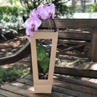 Vaso Sacola Kraft Papel Bege 12x12cm Albano