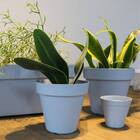 Vaso Sampa (14x13 Cm) Azul Vintage Vasart