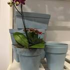 Vaso Sampa (14x13 Cm) Azul Vintage Vasart