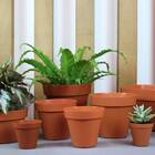 Vaso Sampa (14x13 Cm) Cor Terracota Vasart