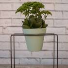 Vaso Sampa (14x13 Cm) Verde Vintage Vasart