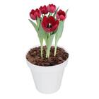 Vaso Sampa (16x14 Cm) Branco Vasart