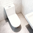 Vaso Sanitário Acoplado (monobloco) Smart 275 - Smart Norte