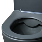 Vaso Sanitário Asti Cinza