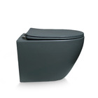 Vaso Sanitário Asti Cinza