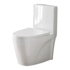 Vaso Sanitário Bacia Monobloco Caixa Acoplada Paris Branco