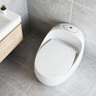 Vaso Sanitário Caixa Acoplada (monobloco) White Pearl