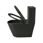 Vaso Sanitario Caixa Acoplada Redondo New Fluir Cinza Fosco