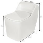 Vaso Sanitário Caixa Acoplada Square White