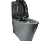 Vaso Sanitário Cinza Atenas Monobloco Completo