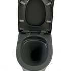 Vaso Sanitário Cinza Atenas Monobloco Completo