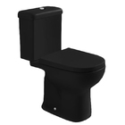 Vaso Sanitário com Caixa Acoplada 3/6L Etna Preto Icasa