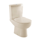 Vaso Sanitário com Caixa Acoplada 3/6L Riviera Plus Pergamon Celite