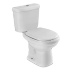 Vaso Sanitário com Caixa Acoplada 3/6L Sabatini Cinza Claro Icasa