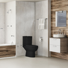 Vaso Sanitário com Caixa Acoplada 3/6L Smart Preto Celite