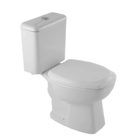 Vaso Sanitário com Caixa Acoplada 3/6L Saída Vertical Thema Plus Cinza Platina Incepa