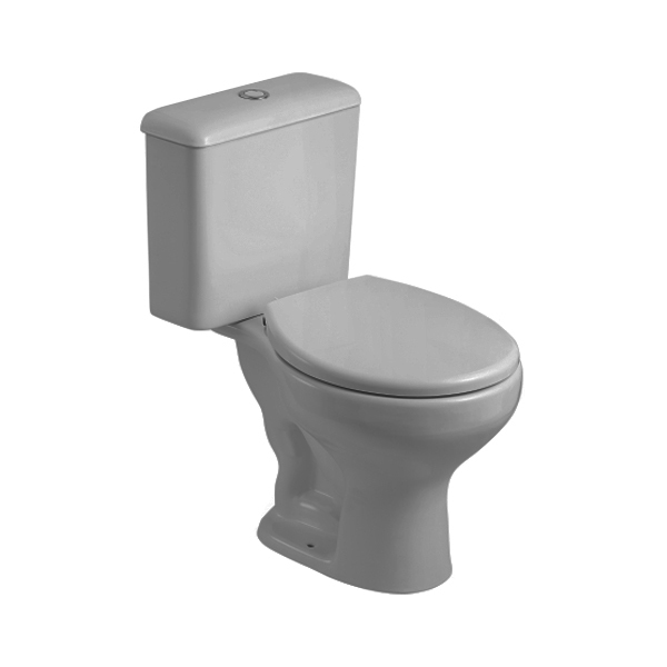 Vaso Sanitário com Caixa Acoplada 6L Saveiro Cinza Prata Celite