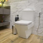 Vaso Sanitário com Caixa Acoplada Hall Branco Roca