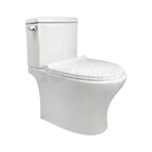 Vaso Sanitário Completo  Com Caixa Acoplada Bacia Privada Ban