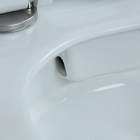 Vaso Sanitário Confort Plus Marmorado - Caixa Acoplada