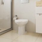 Vaso Sanitário Convencional Saída Vertical Eco Plus Branco Celite