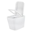 Vaso Sanitário Convencional Lux Griff Inox