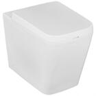 Vaso Sanitário Convencional Lux Griff Inox